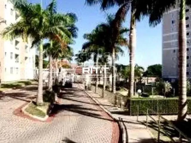 Apartamento para Venda em Campinas/SP Jardim Nova Europa 3 Quartos