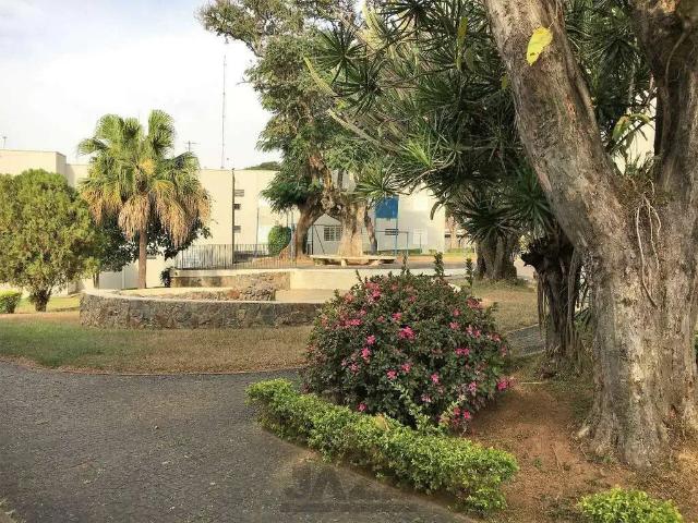 Apartamento para Venda em Campinas/SP Jardim Baronesa 3 Quartos