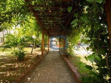 Apartamento para Venda em Campinas/SP Vila Mimosa 2 Quartos
