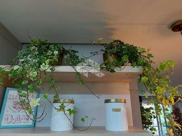 Apartamento para Venda em Canela/RS Vila Suica 2 Quartos