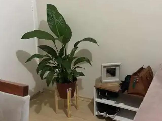 Apartamento para Venda em Cotia/SP Jardim Petrópolis 2 Quartos