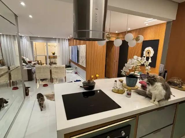 Apartamento para Venda em Embu das Artes/SP Parque Esplanada do Embu 3 Quartos