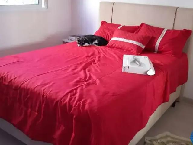 Apartamento para Venda em Esteio/RS Centro 1 Quartos
