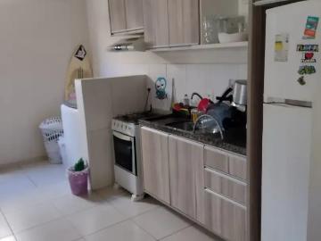Apartamento para Venda em Florianópolis/SC Vargem Pequena 1 Quartos