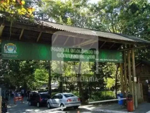 Apartamento para Venda em Florianópolis/SC Córrego Grande 3 Quartos