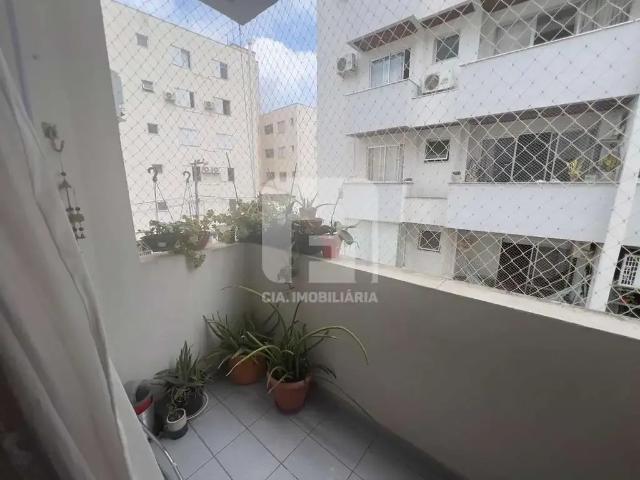 Apartamento para Venda em Florianópolis/SC Córrego Grande 3 Quartos