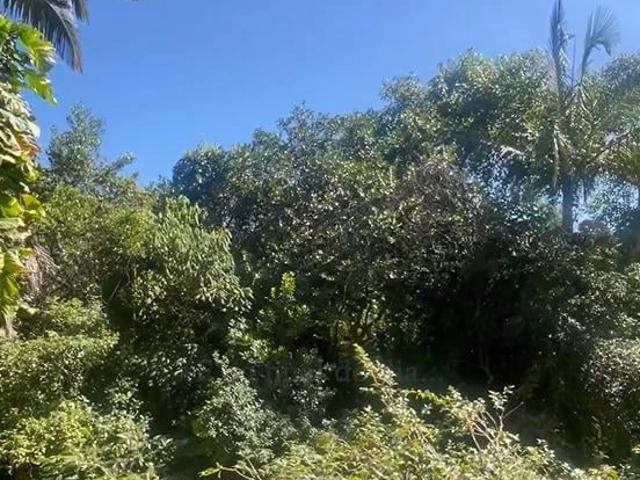 Apartamento para Venda em Florianópolis/SC Lagoa da Conceição 4 Quartos