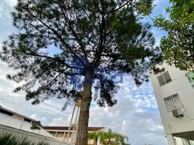 Apartamento para Venda em Florianópolis/SC Ponta das Canas 2 Quartos