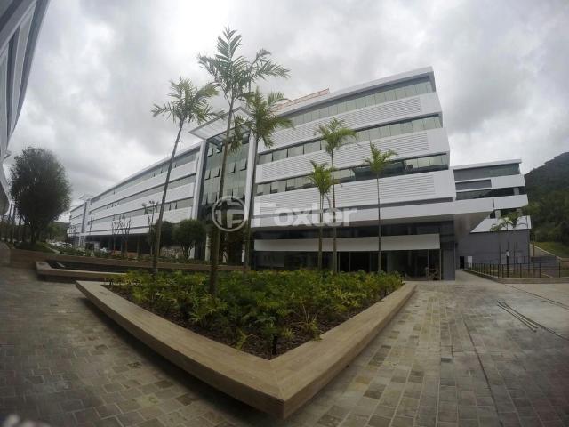 Apartamento para Venda em Florianópolis/SC Saco Grande