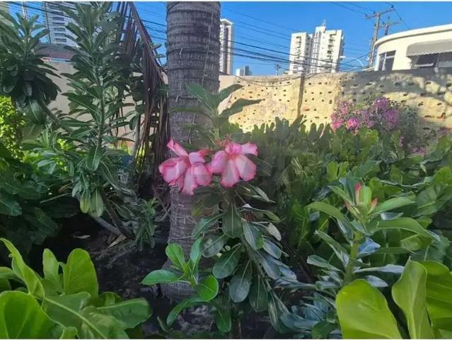 Apartamento para Venda em Fortaleza/CE Aldeota 2 Quartos