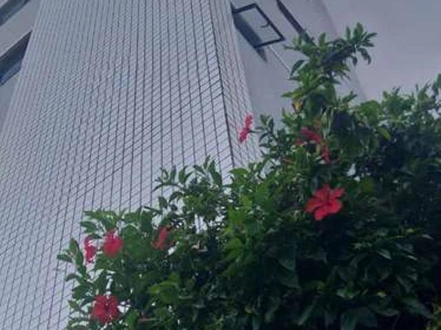 Apartamento para Venda em Fortaleza/CE Centro 3 Quartos
