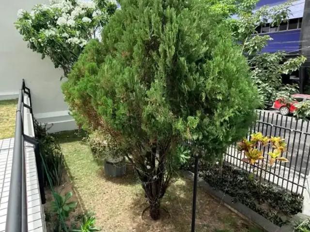 Apartamento para Venda em Fortaleza/CE Centro 3 Quartos