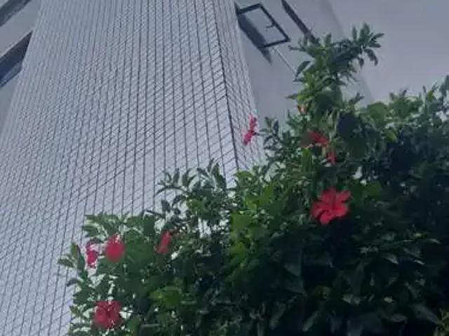 Apartamento para Venda em Fortaleza/CE Centro 3 Quartos