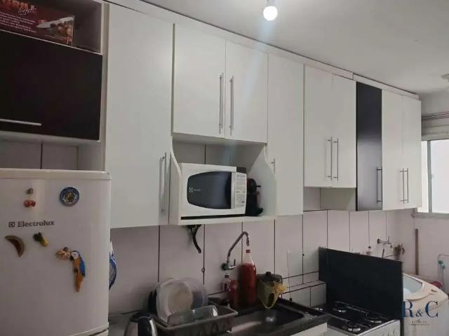 Apartamento para Venda em Franca/SP Jardim Paulista 2 Quartos