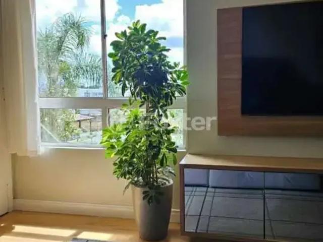 Apartamento para Venda em Gravataí/RS Jansen 2 Quartos