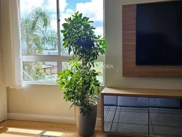 Apartamento para Venda em Gravataí/RS Jansen 2 Quartos
