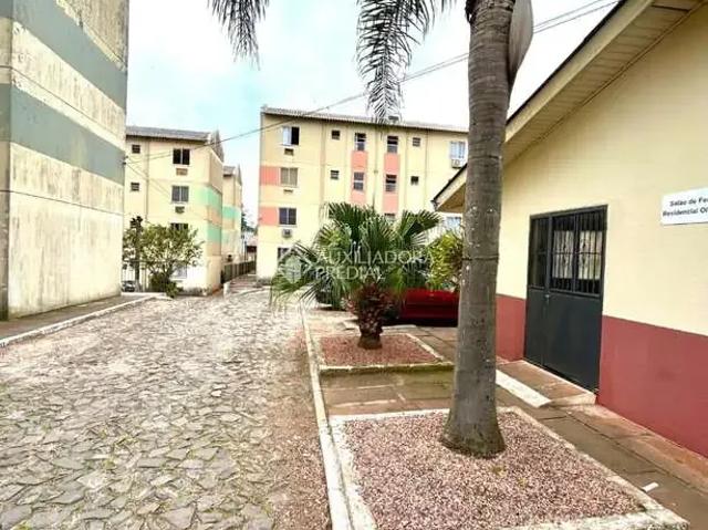 Apartamento para Venda em Gravataí/RS Parque Olinda 2 Quartos