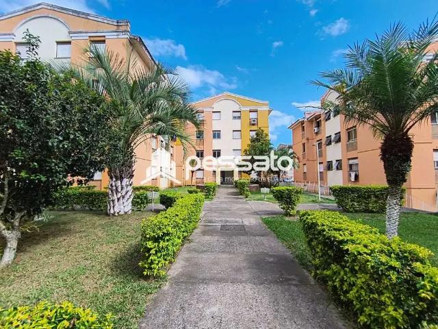 Apartamento para Venda em Gravataí/RS Passo das Pedras 3 Quartos