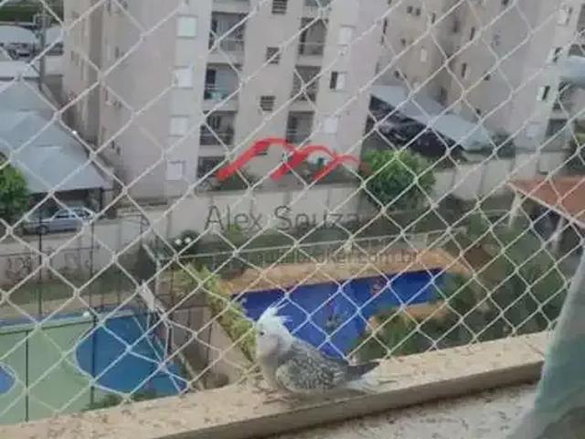 Apartamento para Venda em Hortolândia/SP Vila São Pedro 2 Quartos