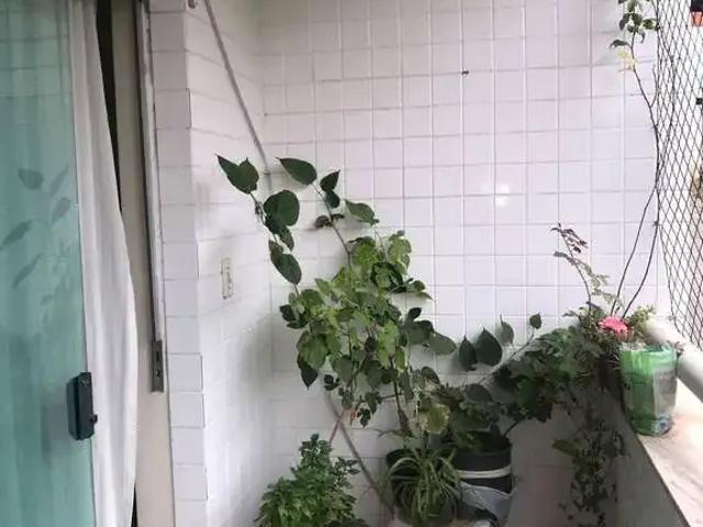 Apartamento para Venda em Ipatinga/MG Caravelas 3 Quartos