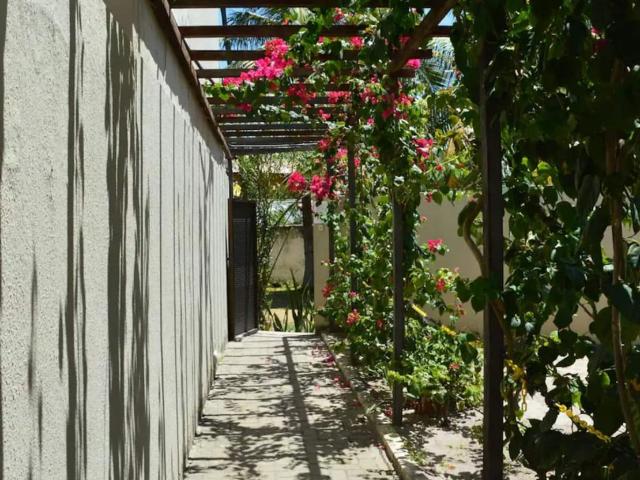 Apartamento para Venda em Ipojuca/PE Porto de Galinhas 1 Quartos