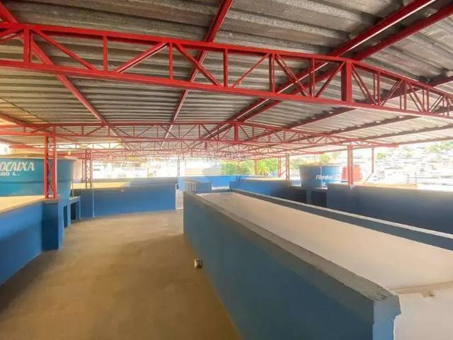 Apartamento para Venda em Juiz de Fora/MG Progresso 2 Quartos