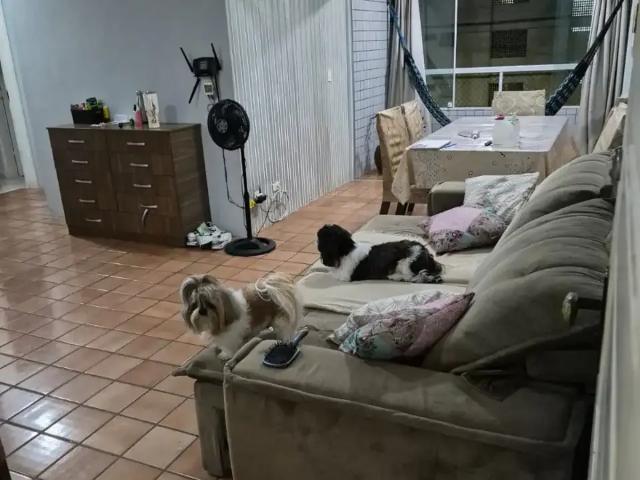 Apartamento para Venda em Jaboatão dos Guararapes/PE Piedade 3 Quartos