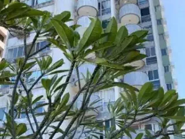 Apartamento para Venda em Jaboatão dos Guararapes/PE Piedade 3 Quartos