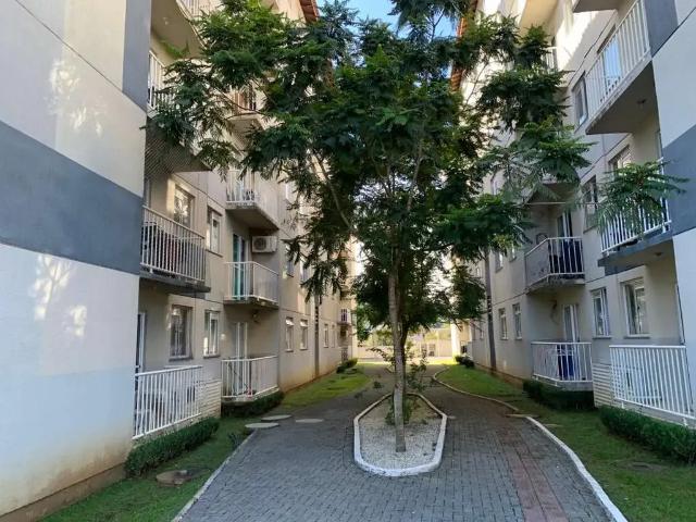 Apartamento para Venda em Jaraguá do Sul/SC Rau 2 Quartos