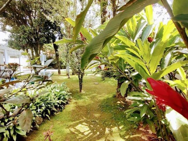 Apartamento para Venda em Joinville/SC Atiradores 3 Quartos