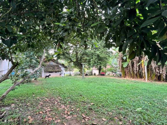 Apartamento para Venda em Joinville/SC Atiradores 2 Quartos