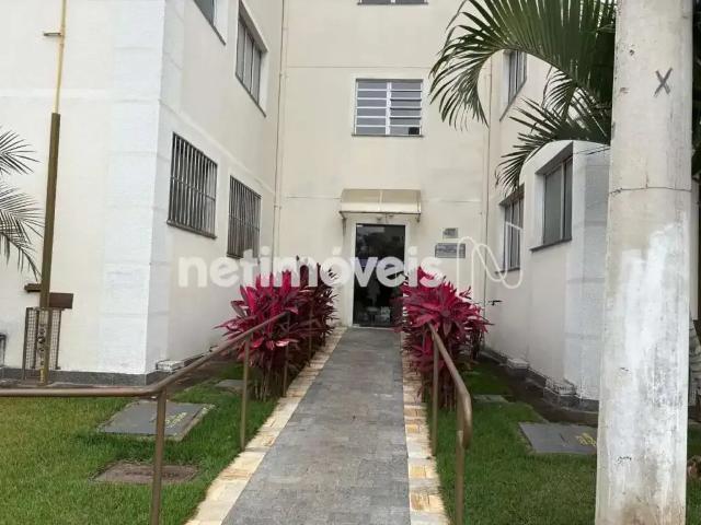 Apartamento para Venda em Lagoa Santa/MG Palmital 2 Quartos