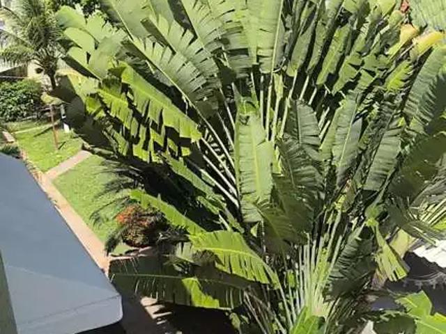 Apartamento para Venda em Lauro de Freitas/BA Vilas do Atlantico 3 Quartos