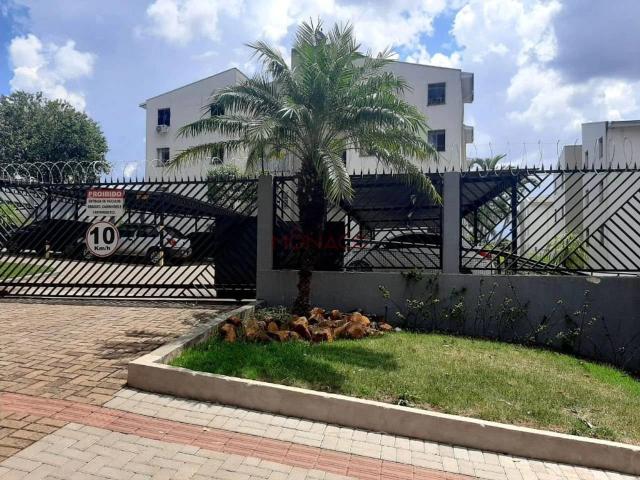 Apartamento para Venda em Londrina/PR Rodocentro 3 Quartos