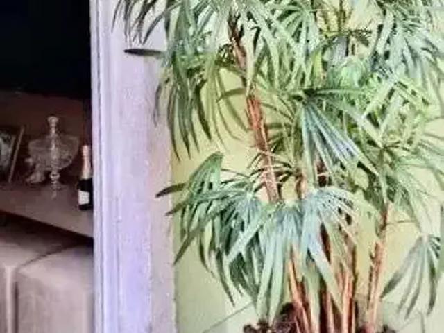 Apartamento para Venda em Parnamirim/RN Parque das Árvores 3 Quartos