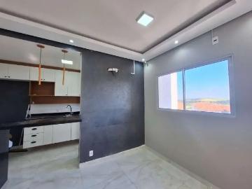 Apartamento para Venda em Paulínia/SP João Aranha 2 Quartos