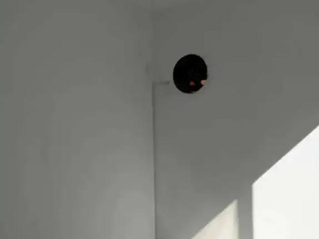 Apartamento para Venda em Paulista/PE Janga 2 Quartos