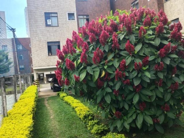 Apartamento para Venda em Poços de Caldas/MG Jardim Quisisana 2 Quartos