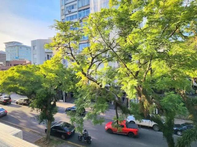 Apartamento para Venda em Porto Alegre/RS Moinhos de Vento 3 Quartos