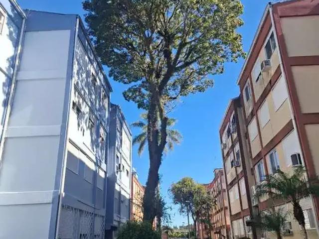 Apartamento para Venda em Porto Alegre/RS Camaquã 2 Quartos