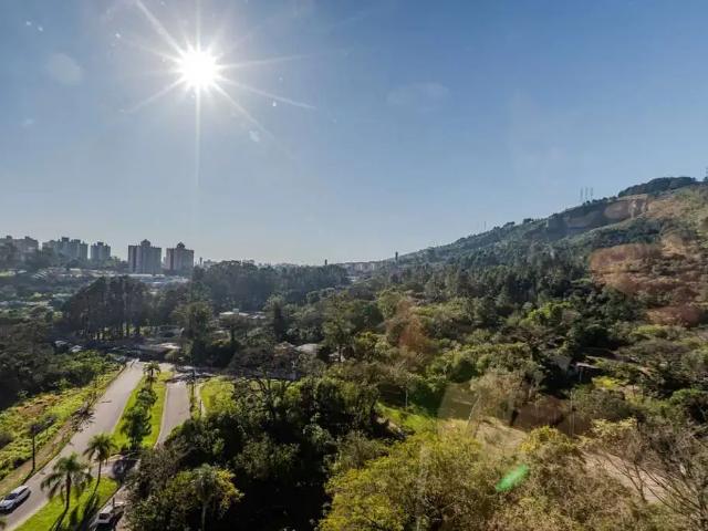 Apartamento para Venda em Porto Alegre/RS Jardim Carvalho 3 Quartos