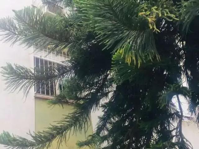 Apartamento para Venda em Porto Alegre/RS Jardim Leopoldina 1 Quartos