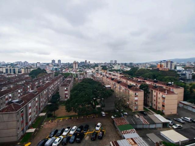 Apartamento para Venda em Porto Alegre/RS Vila Ipiranga 3 Quartos