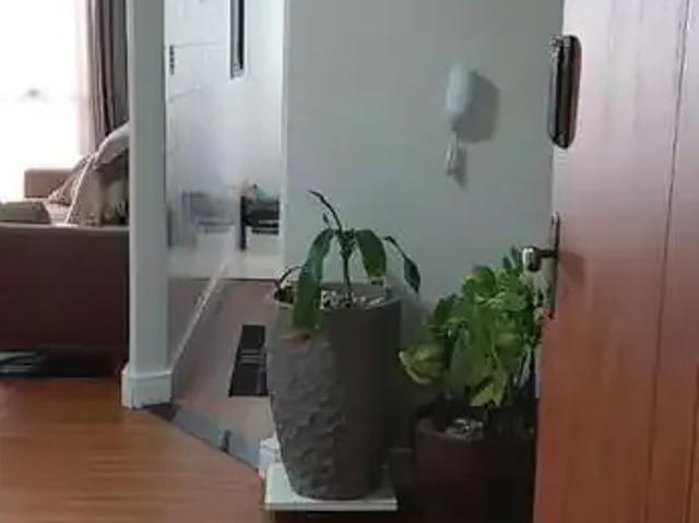 Apartamento para Venda em Praia Grande/SP Vila Caiçara 2 Quartos