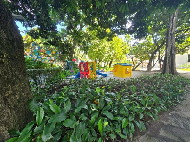 Apartamento para Venda em Recife/PE Alto do Mandu 4 Quartos