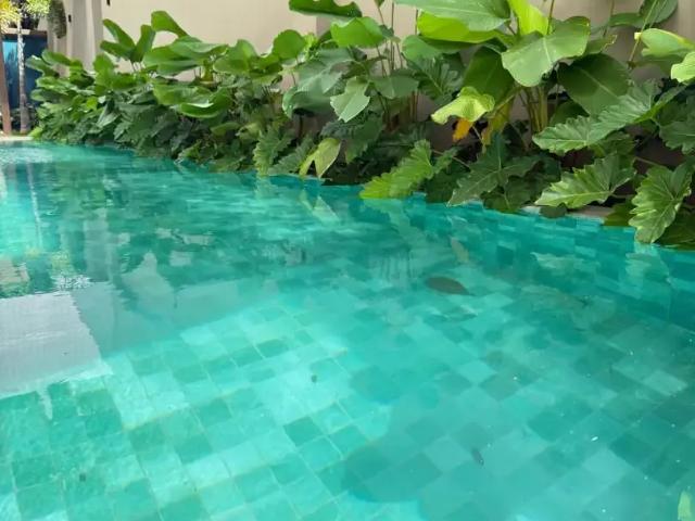 Apartamento para Venda em Recife/PE Casa Forte 1 Quartos