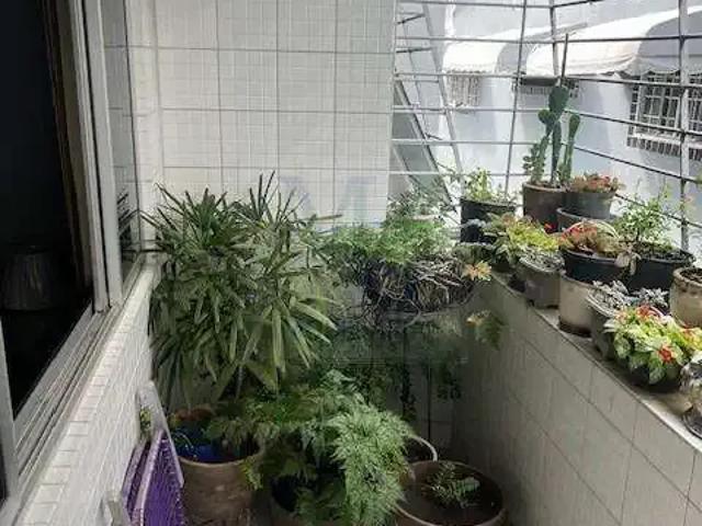 Apartamento para Venda em Recife/PE Encruzilhada 3 Quartos