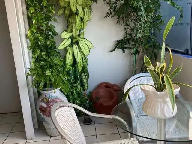Apartamento para Venda em Recife/PE Graças 3 Quartos