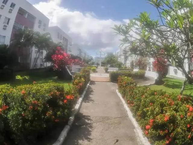 Apartamento para Venda em Recife/PE Iputinga 3 Quartos