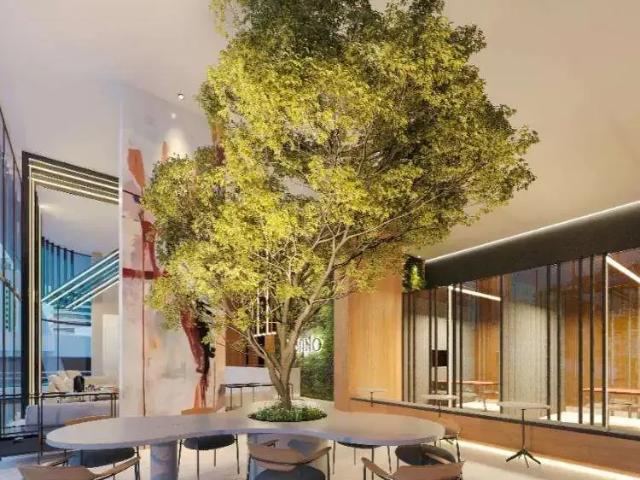 Apartamento para Venda em Recife/PE Pina 1 Quartos